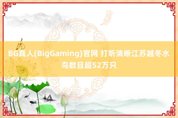 BG真人(BigGaming)官网 打听清晰江苏越冬水鸟数目超52万只