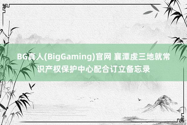 BG真人(BigGaming)官网 襄潭虔三地就常识产权保护中心配合订立备忘录