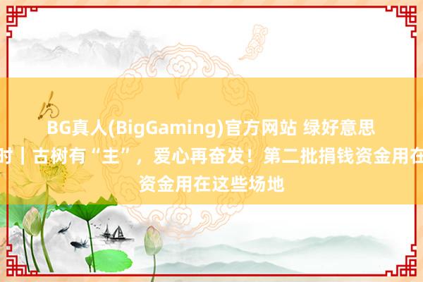 BG真人(BigGaming)官方网站 绿好意思东莞进行时｜古树有“主”，爱心再奋发！第二批捐钱资金用在这些场地