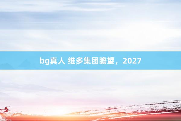 bg真人 维多集团瞻望，2027