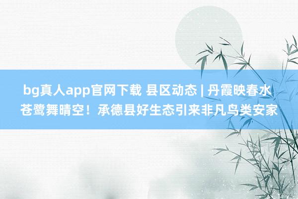 bg真人app官网下载 县区动态 | 丹霞映春水 苍鹭舞晴空！承德县好生态引来非凡鸟类安家