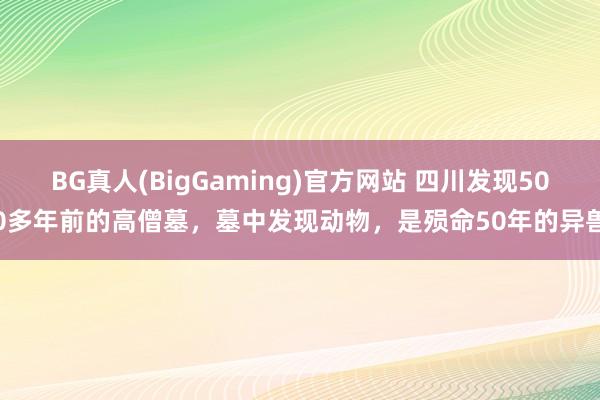 BG真人(BigGaming)官方网站 四川发现500多年前的高僧墓，墓中发现动物，是殒命50年的异兽