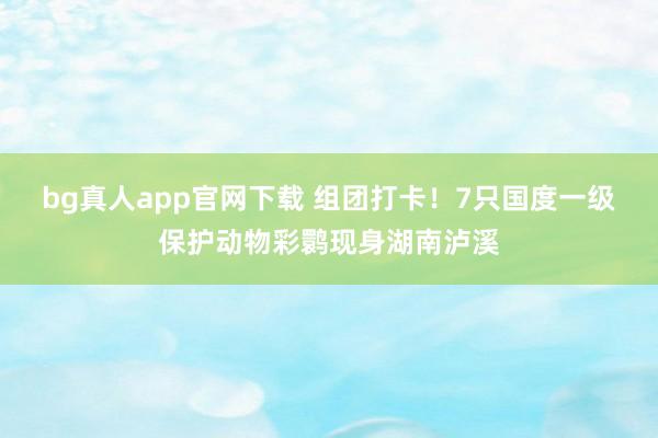 bg真人app官网下载 组团打卡！7只国度一级保护动物彩鹮现身湖南泸溪