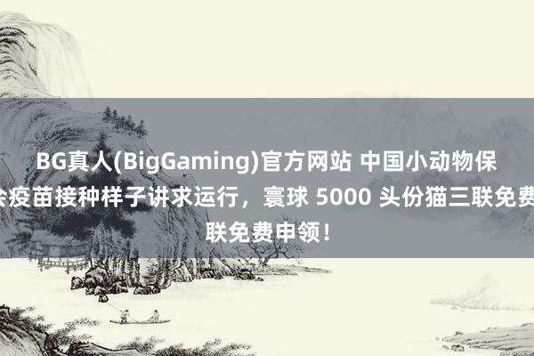 BG真人(BigGaming)官方网站 中国小动物保护协会疫苗接种样子讲求运行，寰球 5000 头份猫三联免费申领！
