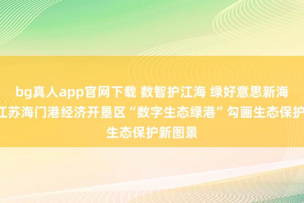 bg真人app官网下载 数智护江海 绿好意思新海门 ——江苏海门港经济开垦区“数字生态绿港”勾画生态保护新图景