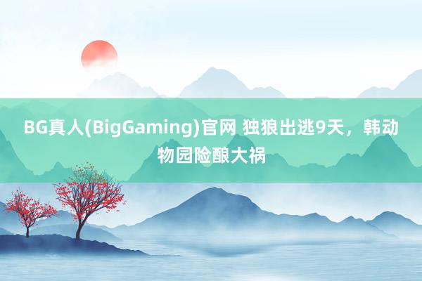 BG真人(BigGaming)官网 独狼出逃9天，韩动物园险酿大祸