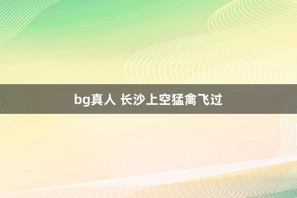 bg真人 长沙上空猛禽飞过