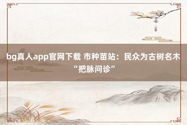 bg真人app官网下载 市种苗站：民众为古树名木“把脉问诊”