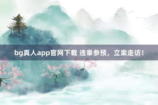 bg真人app官网下载 违章参预，立案走访！