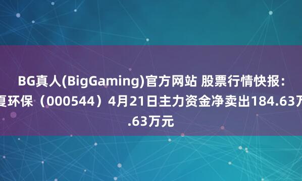 BG真人(BigGaming)官方网站 股票行情快报：华夏环保（000544）4月21日主力资金净卖出184.63万元