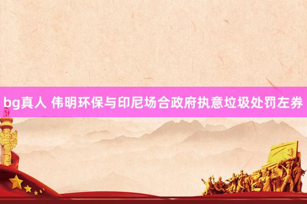 bg真人 伟明环保与印尼场合政府执意垃圾处罚左券