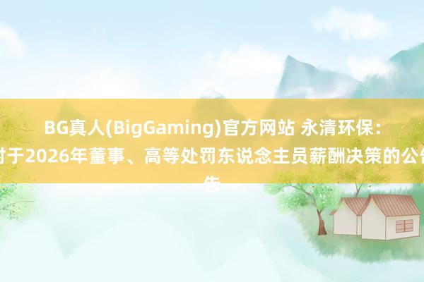 BG真人(BigGaming)官方网站 永清环保：对于2026年董事、高等处罚东说念主员薪酬决策的公告