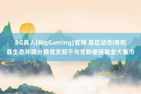 BG真人(BigGaming)官网 县区动态|青阳县生态环境分局党支部干与党群便民就业大集市