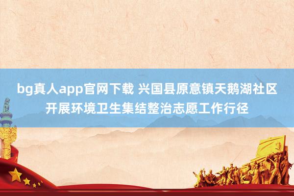 bg真人app官网下载 兴国县原意镇天鹅湖社区开展环境卫生集结整治志愿工作行径
