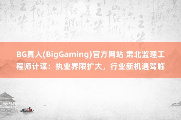 BG真人(BigGaming)官方网站 肃北监理工程师计谋：执业界限扩大，行业新机遇驾临
