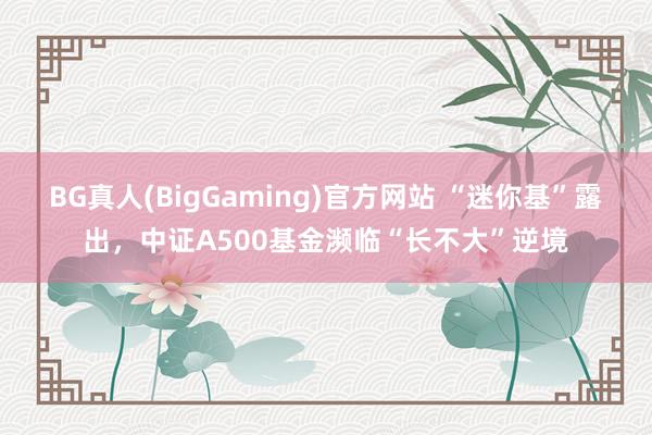 BG真人(BigGaming)官方网站 “迷你基”露出，中证A500基金濒临“长不大”逆境