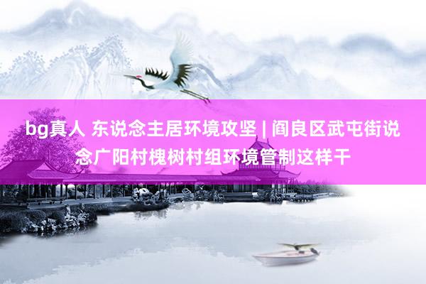 bg真人 东说念主居环境攻坚 | 阎良区武屯街说念广阳村槐树村组环境管制这样干