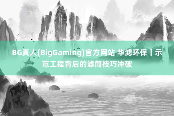BG真人(BigGaming)官方网站 华滤环保丨示范工程背后的滤筒技巧冲破