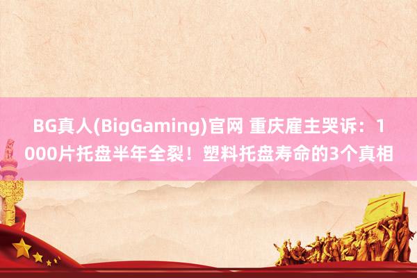 BG真人(BigGaming)官网 重庆雇主哭诉：1000片托盘半年全裂！塑料托盘寿命的3个真相