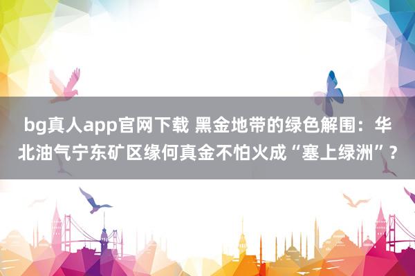 bg真人app官网下载 黑金地带的绿色解围：华北油气宁东矿区缘何真金不怕火成“塞上绿洲”？