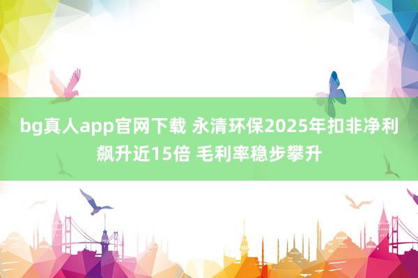 bg真人app官网下载 永清环保2025年扣非净利飙升近15倍 毛利率稳步攀升
