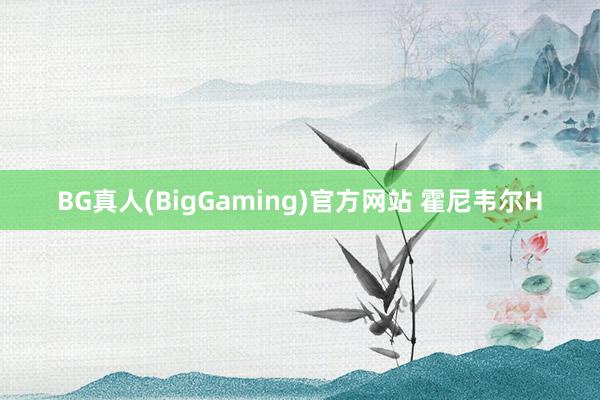 BG真人(BigGaming)官方网站 霍尼韦尔H