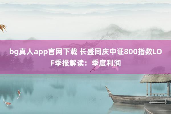 bg真人app官网下载 长盛同庆中证800指数LOF季报解读：季度利润