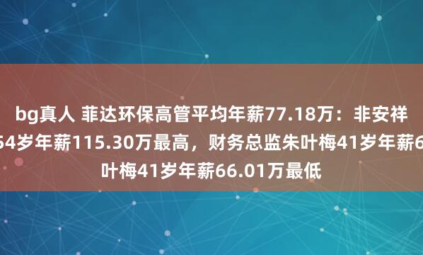 bg真人 菲达环保高管平均年薪77.18万：非安祥董事吴罕江54岁年薪115.30万最高，财务总监朱叶梅41岁年薪66.01万最低