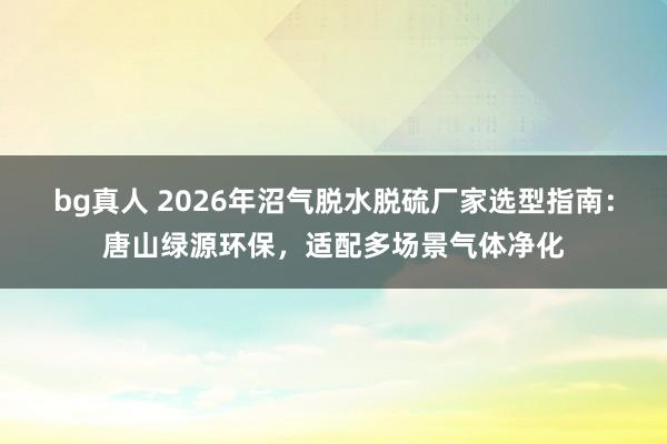 bg真人 2026年沼气脱水脱硫厂家选型指南：唐山绿源环保，适配多场景气体净化