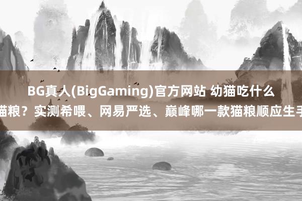 BG真人(BigGaming)官方网站 幼猫吃什么猫粮？实测希喂、网易严选、巅峰哪一款猫粮顺应生手