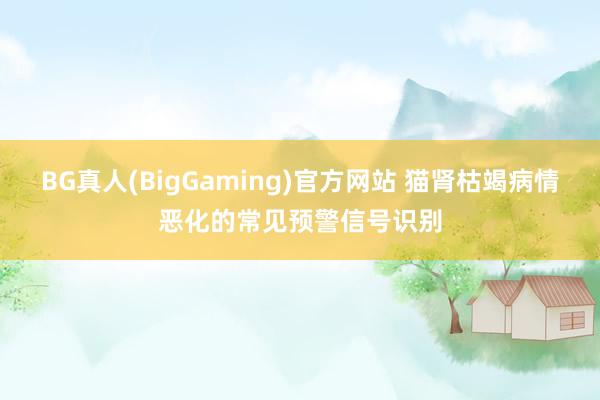 BG真人(BigGaming)官方网站 猫肾枯竭病情恶化的常见预警信号识别