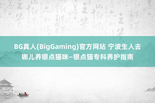 BG真人(BigGaming)官方网站 宁波生人去哪儿养银点猫咪—银点猫专科养护指南