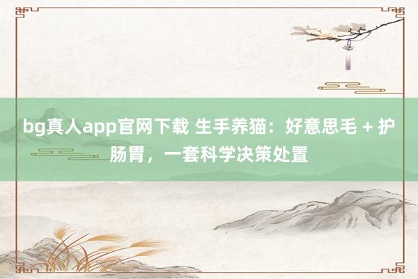 bg真人app官网下载 生手养猫：好意思毛 + 护肠胃，一套科学决策处置