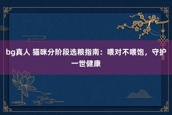 bg真人 猫咪分阶段选粮指南：喂对不喂饱，守护一世健康