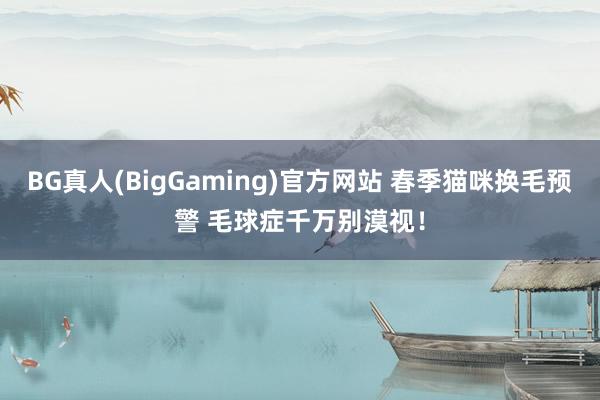 BG真人(BigGaming)官方网站 春季猫咪换毛预警 毛球症千万别漠视！
