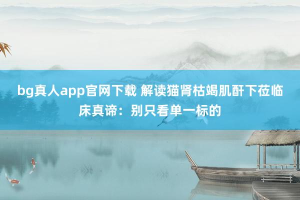 bg真人app官网下载 解读猫肾枯竭肌酐下莅临床真谛：别只看单一标的