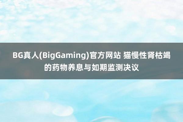 BG真人(BigGaming)官方网站 猫慢性肾枯竭的药物养息与如期监测决议