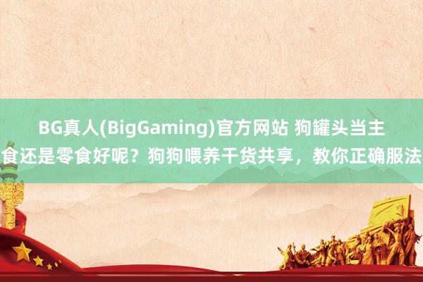 BG真人(BigGaming)官方网站 狗罐头当主食还是零食好呢？狗狗喂养干货共享，教你正确服法