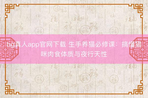 bg真人app官网下载 生手养猫必修课：搞懂猫咪肉食体质与夜行天性