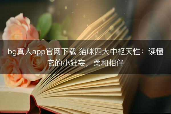 bg真人app官网下载 猫咪四大中枢天性：读懂它的小狂妄，柔和相伴