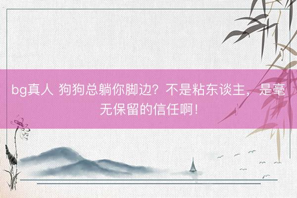 bg真人 狗狗总躺你脚边？不是粘东谈主，是毫无保留的信任啊！