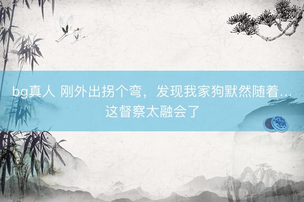 bg真人 刚外出拐个弯，发现我家狗默然随着…这督察太融会了