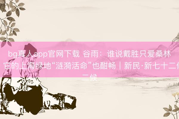 bg真人app官网下载 谷雨：谁说戴胜只爱桑林？它的上海绿地“涟漪活命”也酣畅｜新民·新七十二候